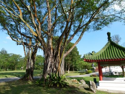 SINGAPORE - Japanisch - Chinesischer Garten